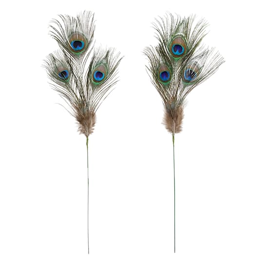 Peacock Feather Picks by Ashland&#xAE;